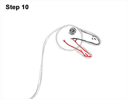 Draw a Gallimimus Dinosaur 10 How to Draw a Gallimimus Dinosaur Running Side 10
