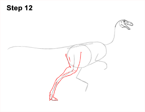 Draw a Gallimimus Dinosaur 12 How to Draw a Gallimimus Dinosaur Running Side 12
