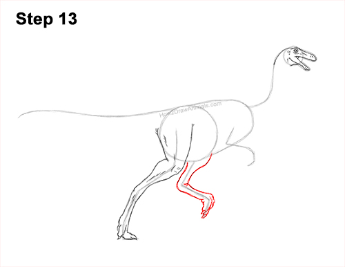 Draw a Gallimimus Dinosaur 13 How to Draw a Gallimimus Dinosaur Running Side 13