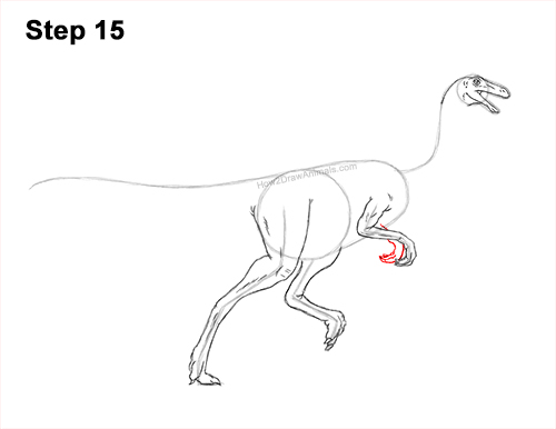 Draw a Gallimimus Dinosaur 15 How to Draw a Gallimimus Dinosaur Running Side 15