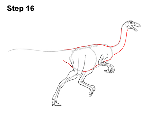 Draw a Gallimimus Dinosaur 16 How to Draw a Gallimimus Dinosaur Running Side 1