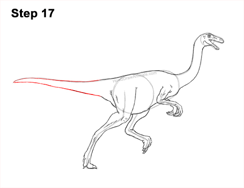 Draw a Gallimimus Dinosaur 17 How to Draw a Gallimimus Dinosaur Running Side 17