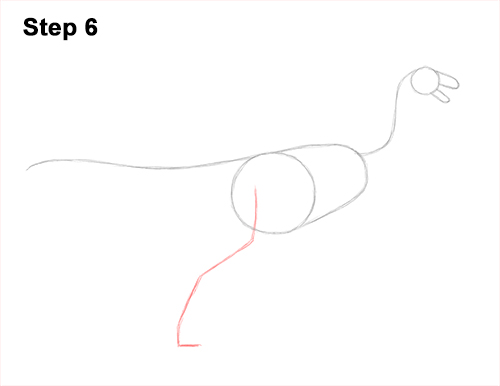 Draw a Gallimimus Dinosaur 6 How to Draw a Gallimimus Dinosaur Running Side 6
