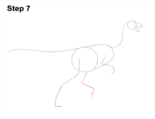 Draw a Gallimimus Dinosaur 7 How to Draw a Gallimimus Dinosaur Running Side 7