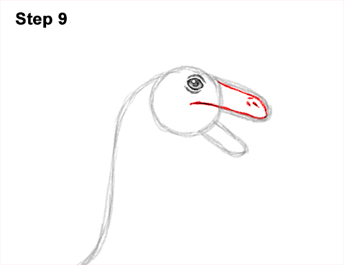 Draw a Gallimimus Dinosaur 9 How to Draw a Gallimimus Dinosaur Running Side 9