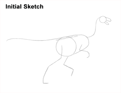 Draw a Gallimimus Dinosaur Guidelines How to Draw a Gallimimus Dinosaur Running Side Guides Lines