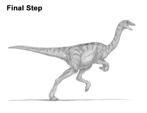 Draw a Gallimimus Dinosaur How to Draw a Gallimimus Dinosaur Running Side