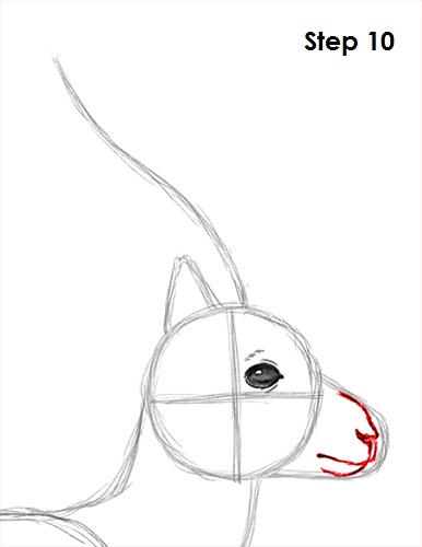 Gazelle Drawing 10 Draw Gazelle 10