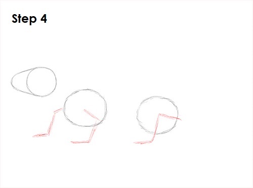 Gecko Drawing 4 Draw Gecko Lizard 4