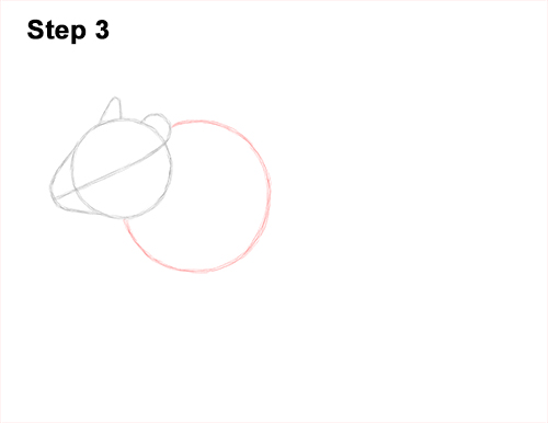 How to Draw a Mongolian Gerbil Standing 3