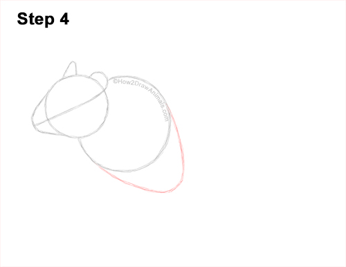How to Draw a Mongolian Gerbil Standing 4