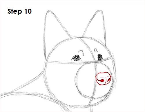 German Shepherd Drawing 10 Draw German Shepherd Dog 10