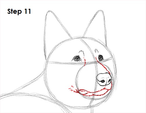 German Shepherd Drawing 11 Draw German Shepherd Dog 11
