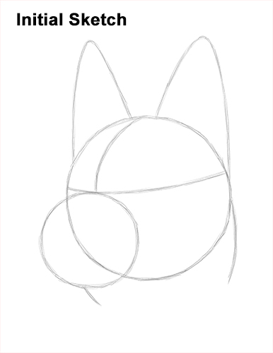 How to Draw a German Shepherd Dog Head Portrait Guide Lines