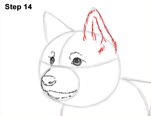 How to Draw a Cute German Shepherd Puppy Dog 14