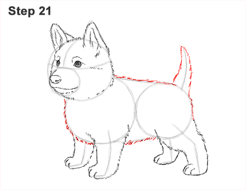 How to Draw a Cute German Shepherd Puppy Dog 21