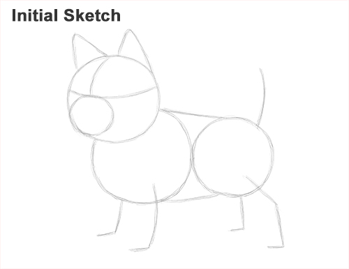 Draw a German Shepherd Puppy Initial Sketch How to Draw a Cute German Shepherd Puppy Dog Sketch