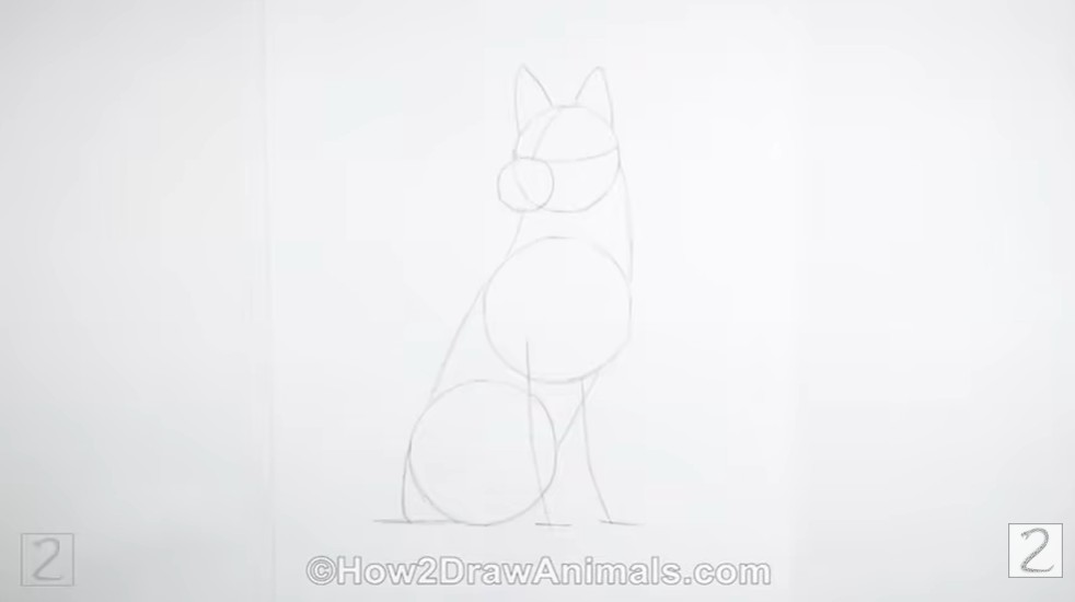 How to Draw German Shepherd Guidelines