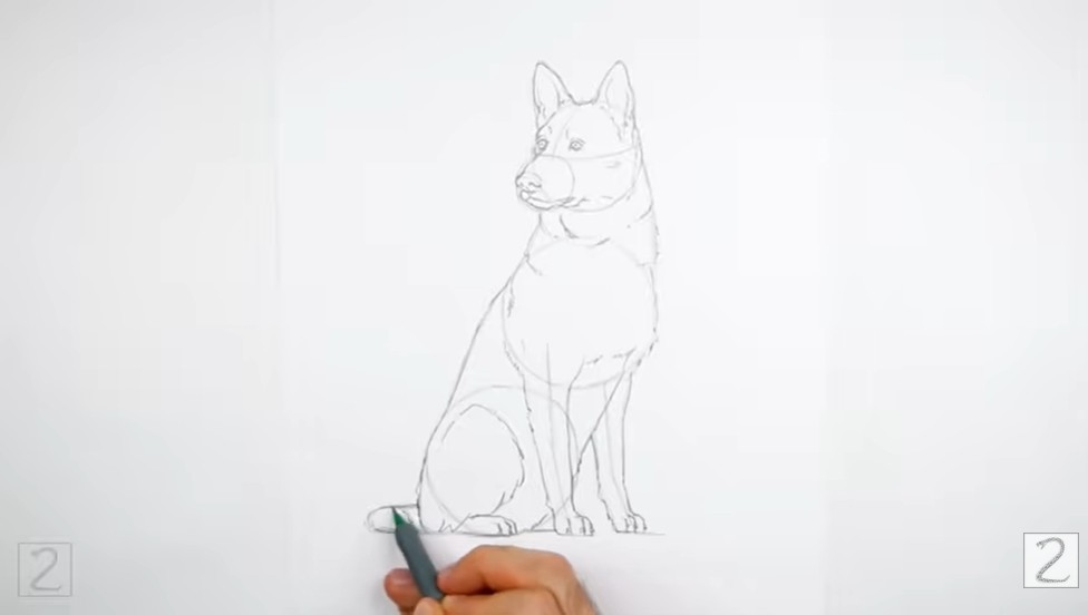 How to Draw German Shepherd Face Details