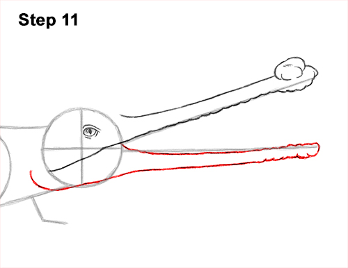 How to Draw a Gharial Gavial Crocodile 11