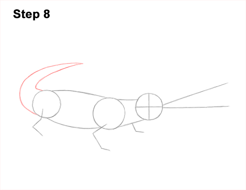 How to Draw a Gharial Gavial Crocodile 8
