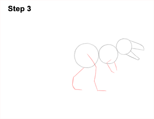How to Draw a Giganotosaurus Dinosaur from Jurassic World Dominion 3