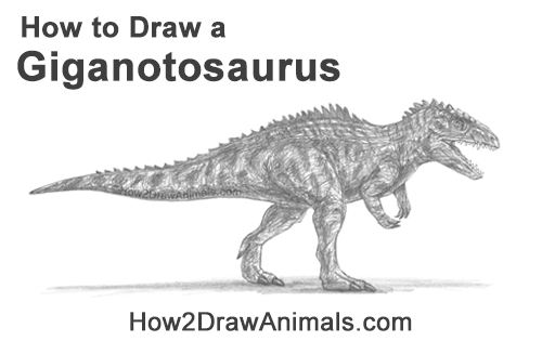 How to Draw a Giganotosaurus Dinosaur from Jurassic World Dominion
