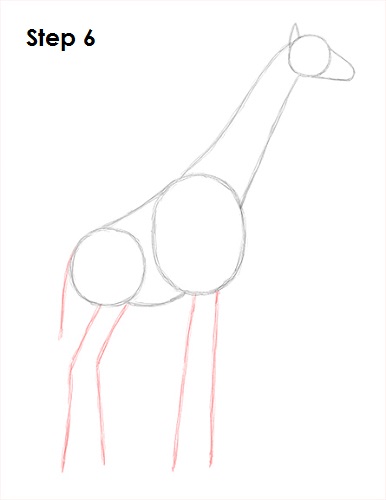 Draw Giraffe 6