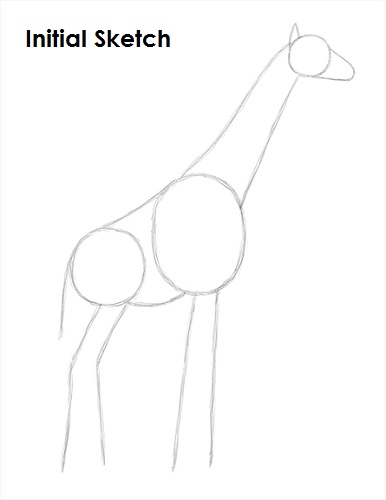 Draw Giraffe Sketch
