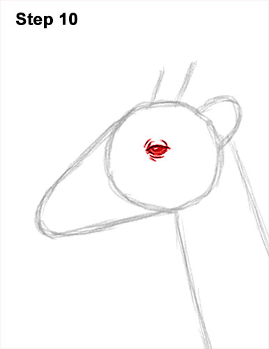 Draw a Giraffe 10 How to Draw a Reticulated Giraffe Side 10