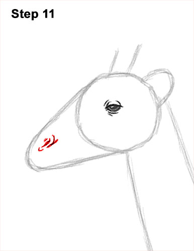 Draw a Giraffe 11 How to Draw a Reticulated Giraffe Side 11