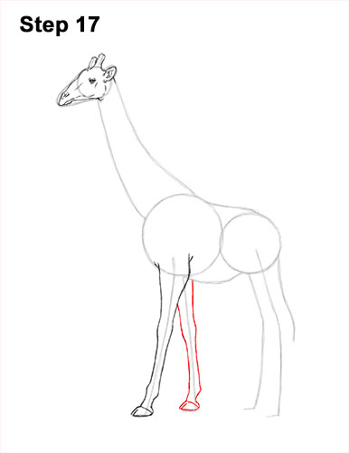 How to Draw a Reticulated Giraffe Side 17