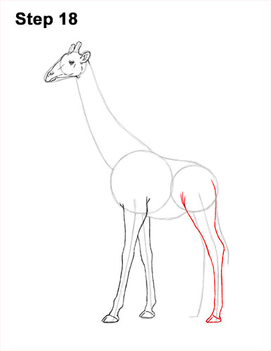 How to Draw a Reticulated Giraffe Side 18