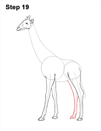How to Draw a Reticulated Giraffe Side 19