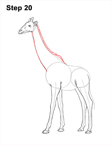 How to Draw a Reticulated Giraffe Side 20