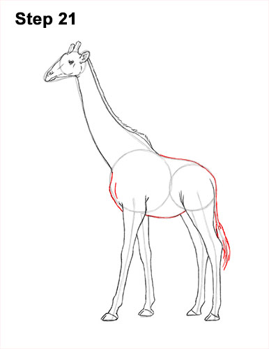 How to Draw a Reticulated Giraffe Side 21