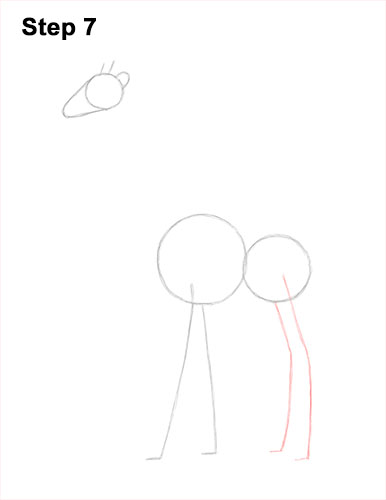 Draw a Giraffe 7 How to Draw a Reticulated Giraffe Side 7