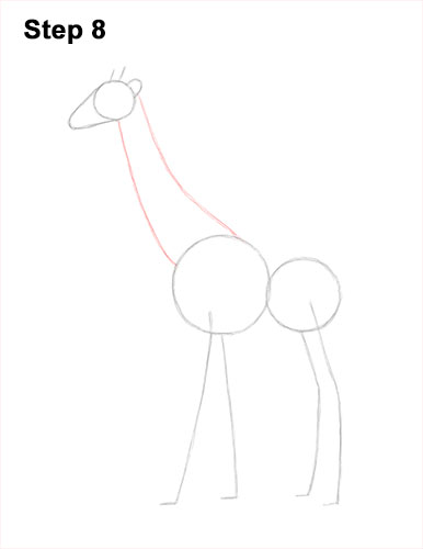 Draw a Giraffe 8 How to Draw a Reticulated Giraffe Side 8