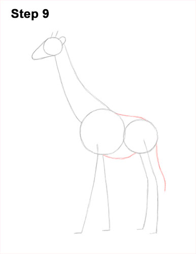 Draw a Giraffe 9 How to Draw a Reticulated Giraffe Side 9
