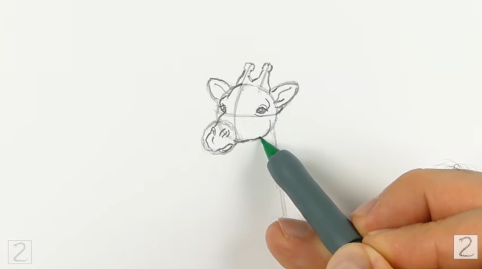 Draw the Facial Features