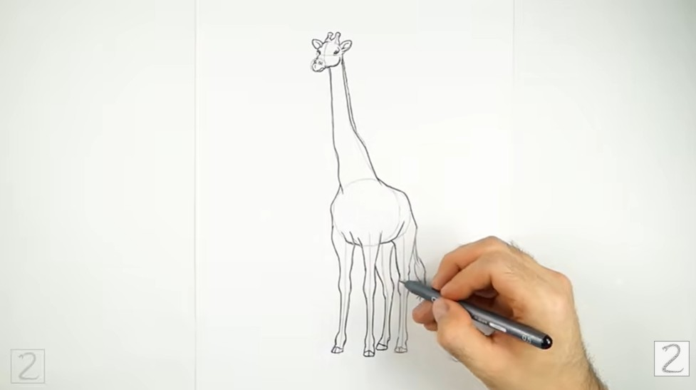 Erase Guidelines and Clean Up Your Drawing