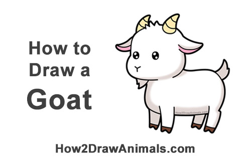 How to Draw Cute Cartoon Goat Chibi Kawaii