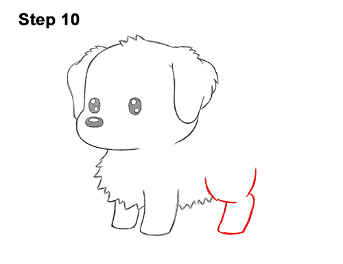 Draw a Cute Cartoon Golden Retriever Puppy Dog 102 How to Draw a Cute Cartoon Golden Retriever Puppy Dog Chibi Kawaii 10