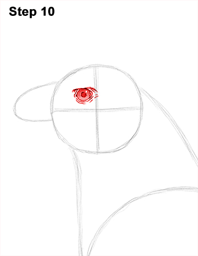 Draw Golden Eagle Bird 10