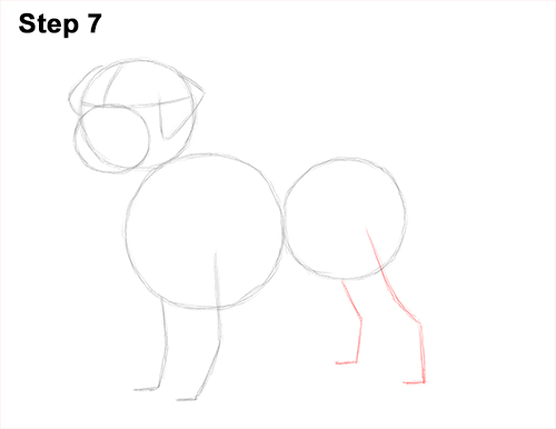 Draw Golden Retriever Dog 7 How to Draw a Golden Retriever Dog 7