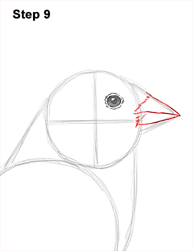 Draw American Goldfinch Bird 9