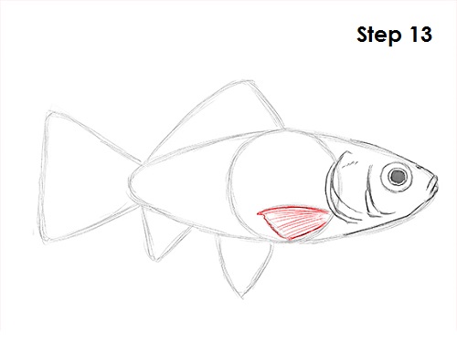 Draw Goldfish 13
