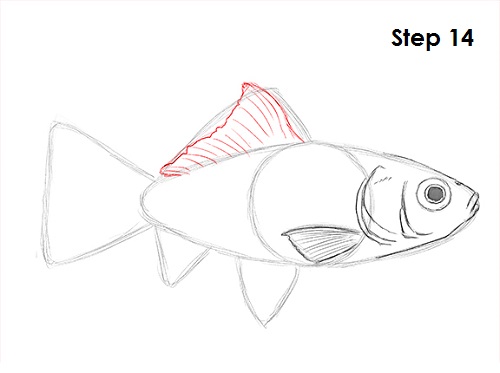 Draw Goldfish 14