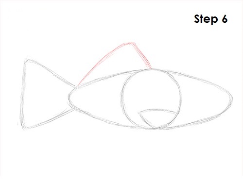 Draw Goldfish 6