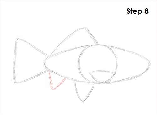 Draw Goldfish 8